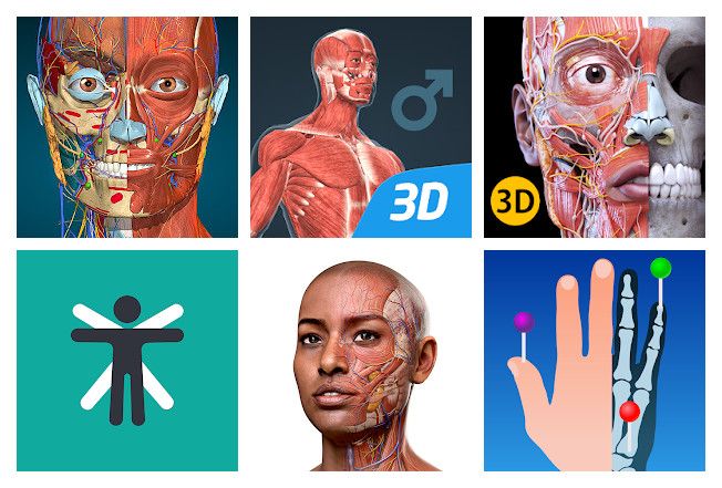 Le 20 migliori apps di anatomia per Android, iPhone