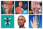 Le 20 migliori apps di anatomia per Android, iPhone