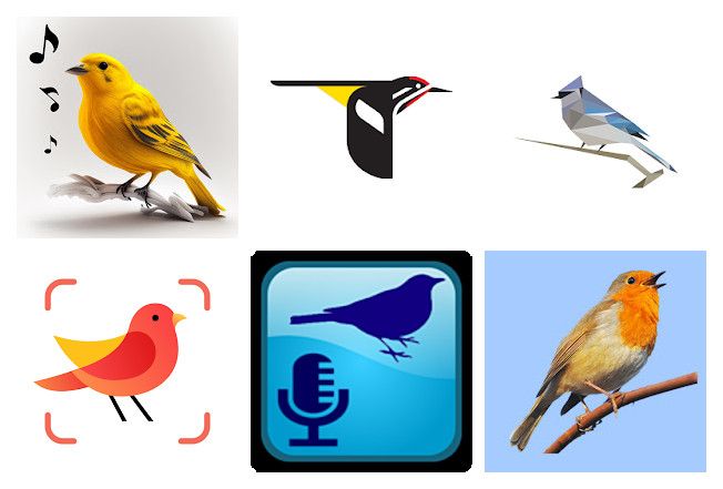 Die 16 beste vogelstimmen apps für mobile