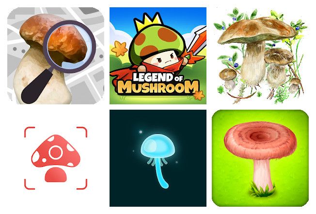 Die 19 beste pilz apps für mobile