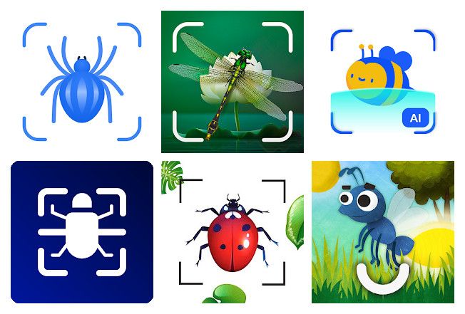 Die 14 beste insekten apps für Android, iPhone