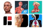 Die 6 besten Anatomie-Apps für mobile Geräte.