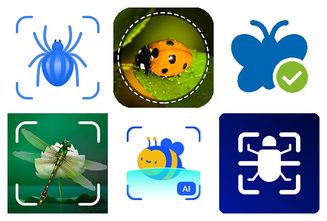 Les 17 meilleures applications insectes pour Android, iPhone