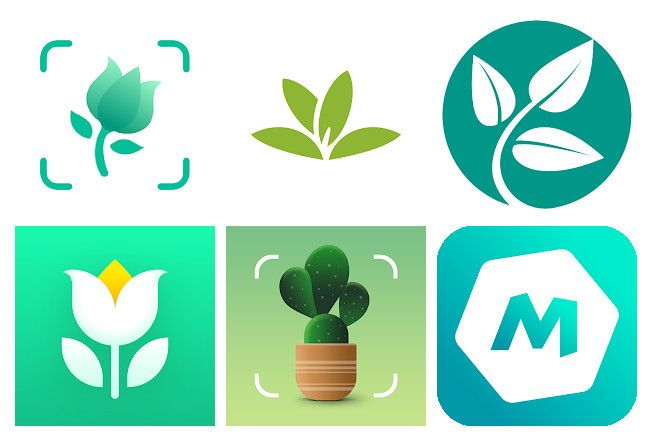 Les 20 meilleures applications jardinage pour mobile