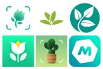 Les 20 meilleures applications jardinage pour mobile