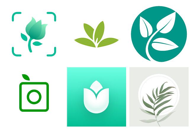 Les 17 meilleures applications reconnaissance des plantes pour mobile