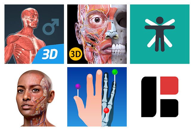 Les 16 meilleures applications anatomie pour mobile