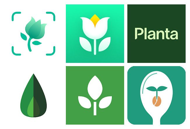 Best of 16 apps for growing vegetables on Android, iPhone