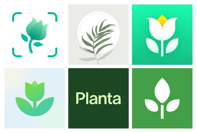 The 12 best apps for houseplant care on mobile Android, iPhone