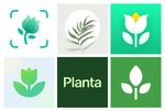 The 12 best apps for houseplant care on mobile Android, iPhone