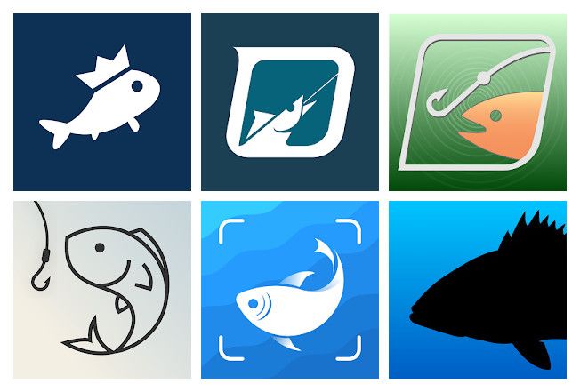 Best of 18 apps for identifying saltwater fish on Android, iPhone