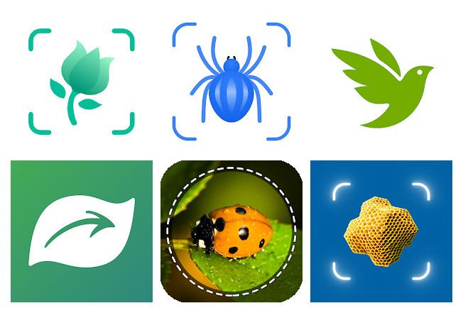 18 Best apps for identifying bugs on Android, iPhone