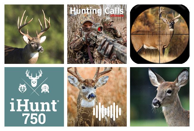 Best of 9 apps for deer calls on mobile