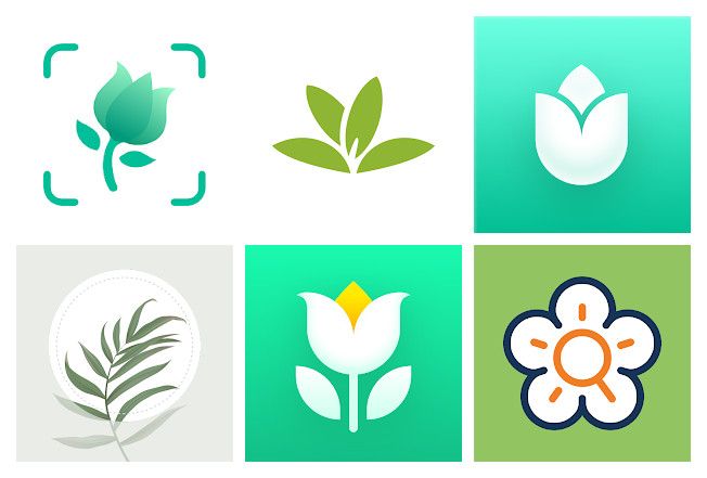 The 13 best apps for plant identification on mobile Android, iPhone