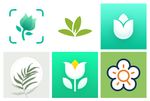 The 13 best apps for plant identification on mobile Android, iPhone