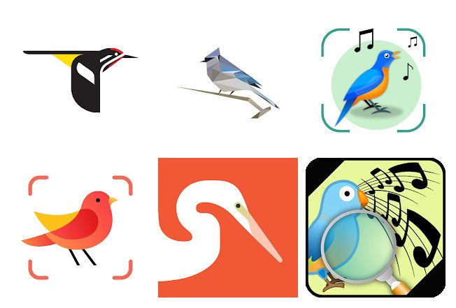 18 Best apps for birdsong identification on Android, iPhone