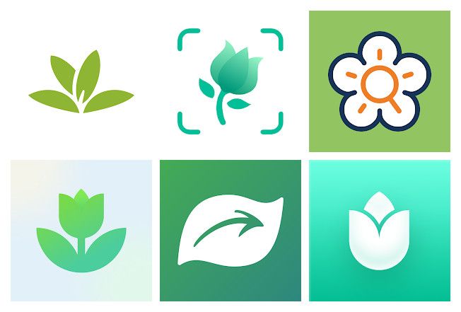 The 12 best plant identification apps for Android and iPhone.