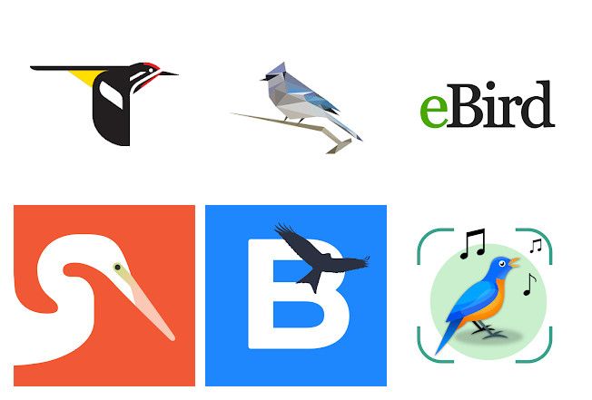 The 15 Best Bird Song Identification Apps for Android and iPhone.