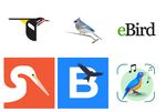 The 15 Best Bird Song Identification Apps for Android and iPhone.