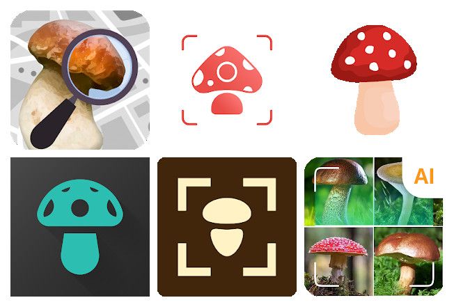 Las 15 mejores apps para identificar setas en Android, iPhone